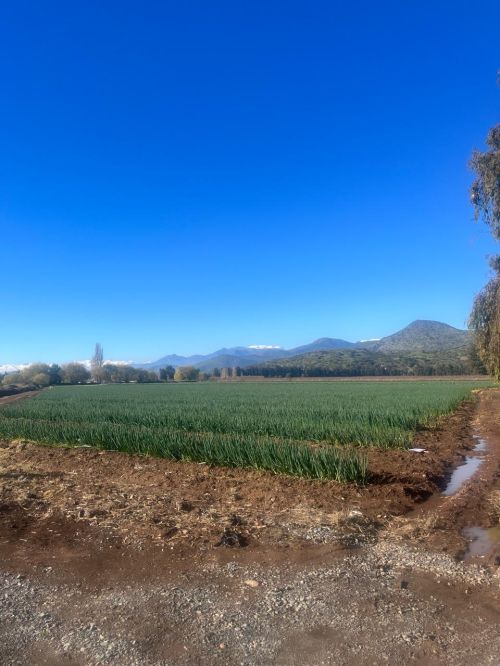 imagen de Parcelas de 5.000 m² en venta – Sector Limahue, con id 34743