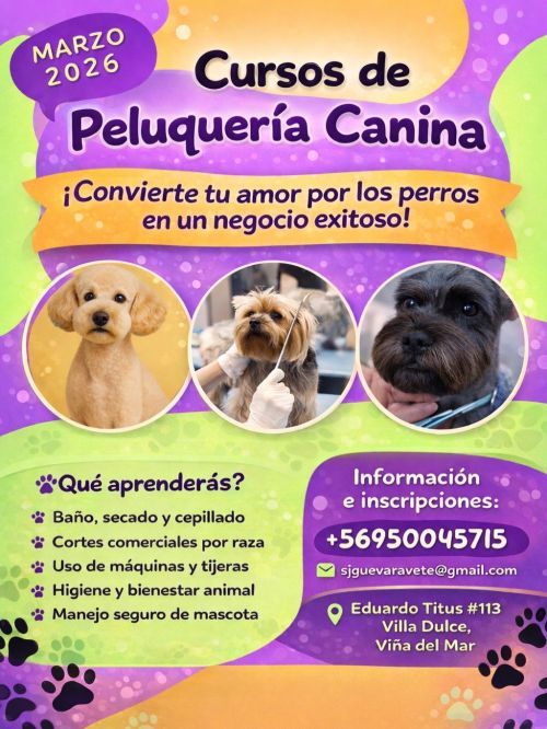 imagen de Cursos de peluquería canina  con id 34911